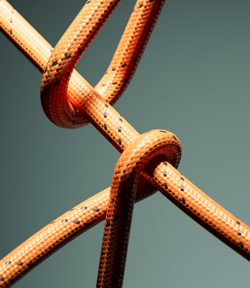 Business Intelligence